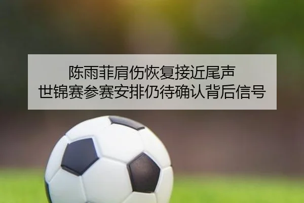 陈雨菲肩伤恢复接近尾声 世锦赛参赛安排仍待确认背后信号